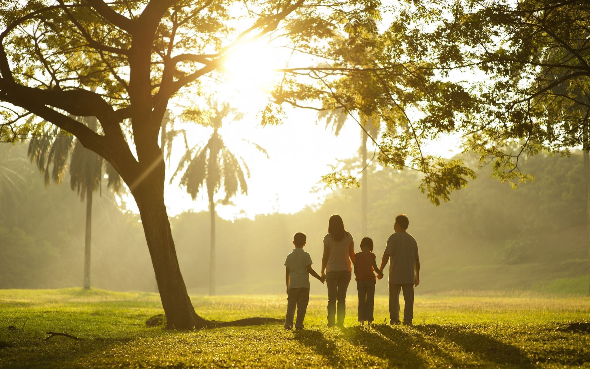 The Heart of the Family: How Love Makes Us Who We Are